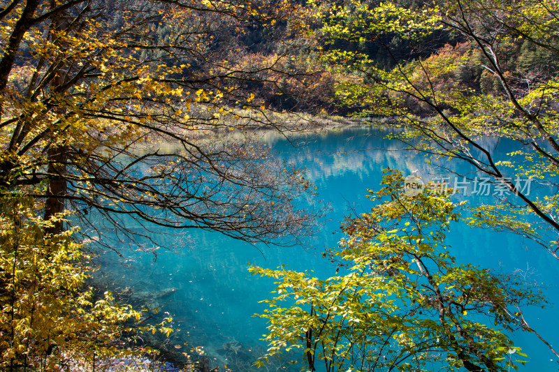 九寨沟秋色，平静蓝色水面与山林秋叶