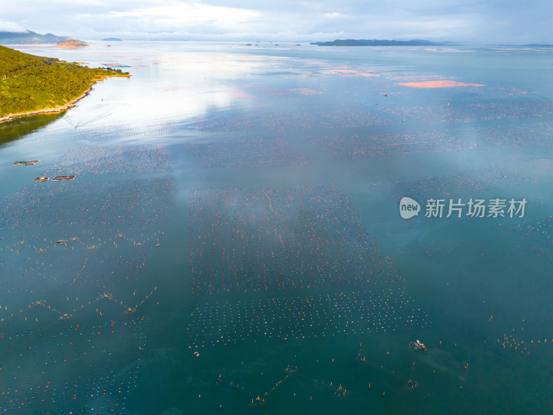 大海海洋清晨航拍图