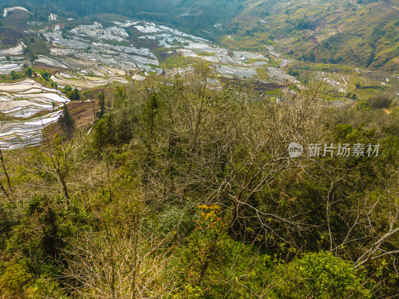 航拍红河州元阳梯田自然风光