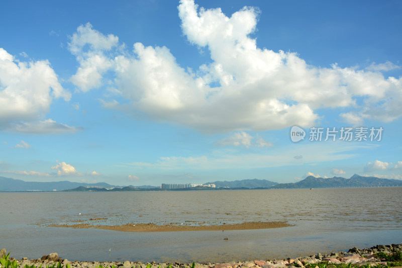 深圳红树林风景区