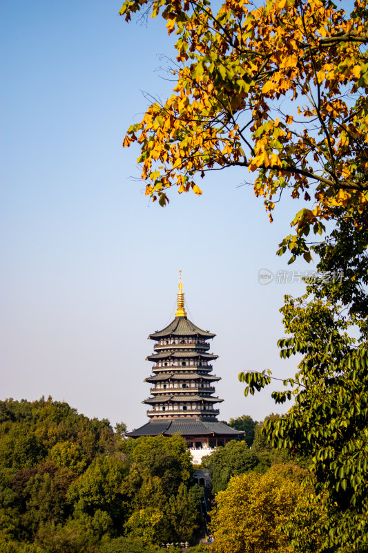 杭州雷峰塔