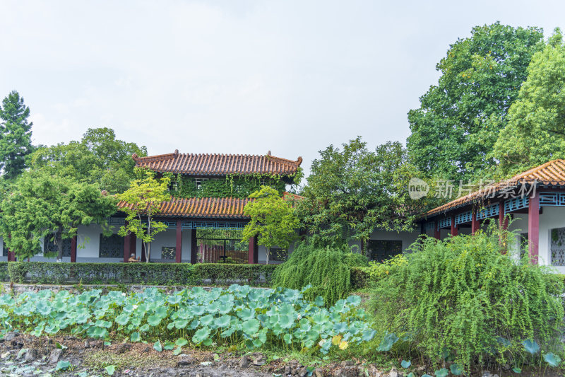 武汉青山公园风景