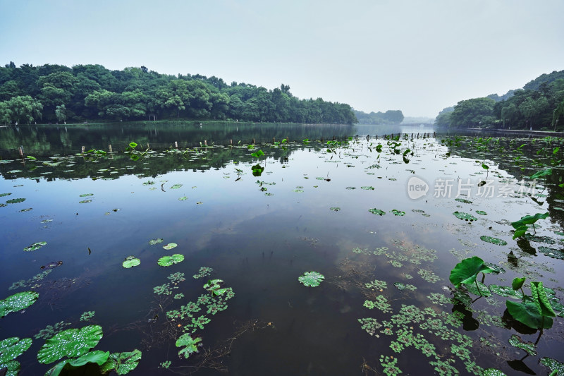 浙江杭州西湖景区