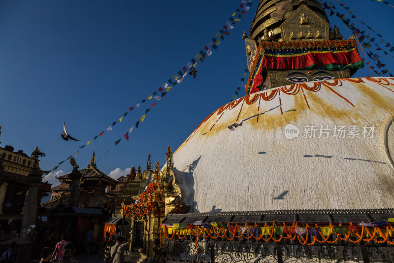 尼泊尔加德满都猴庙