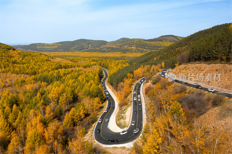 航拍河北承德塞罕坝机械林场公路风光