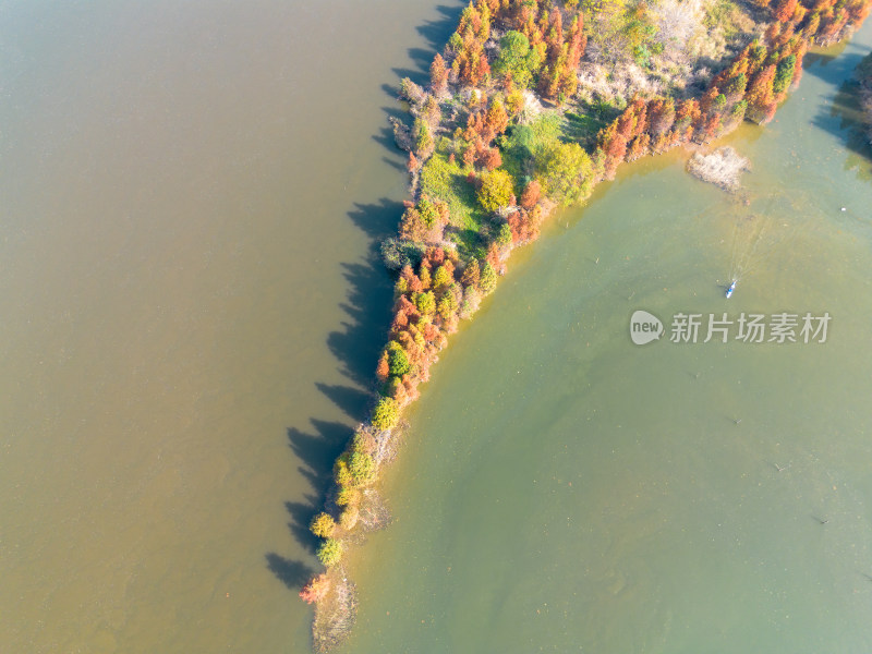 福州多彩树林沿水域分布的自然风景航拍