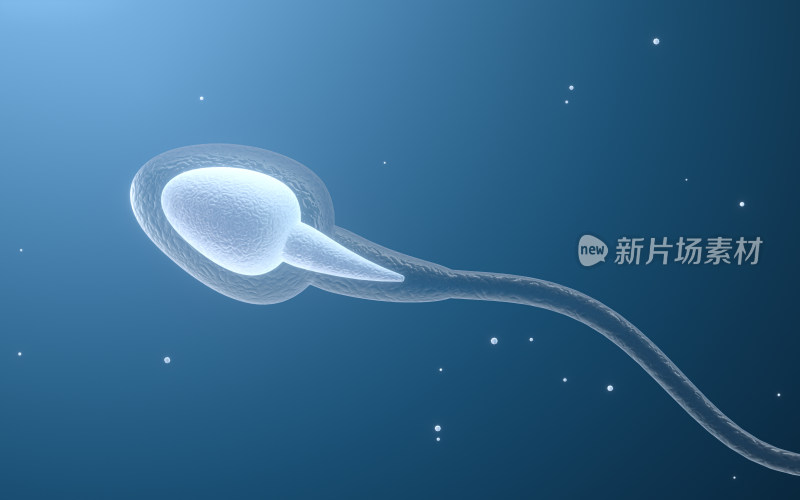 精子细胞 3D渲染