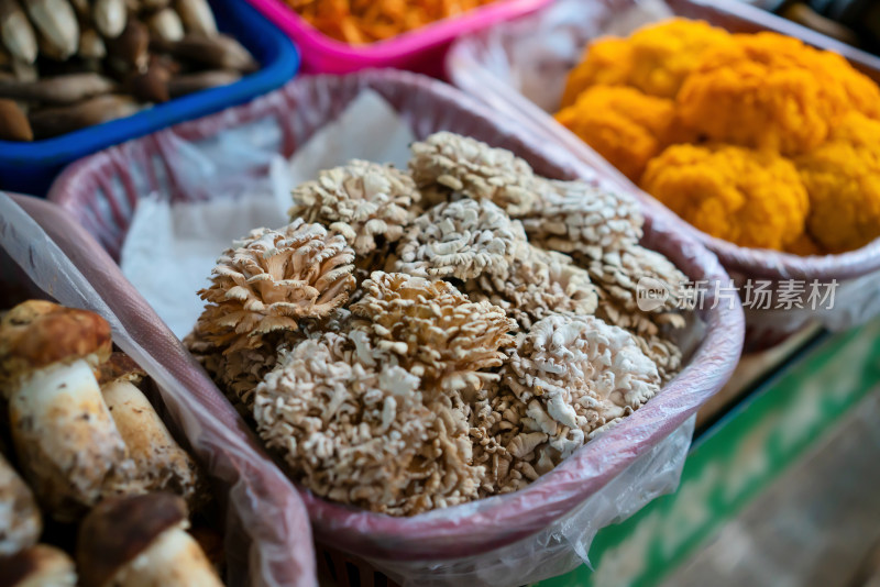 云南农贸市场的菌菇