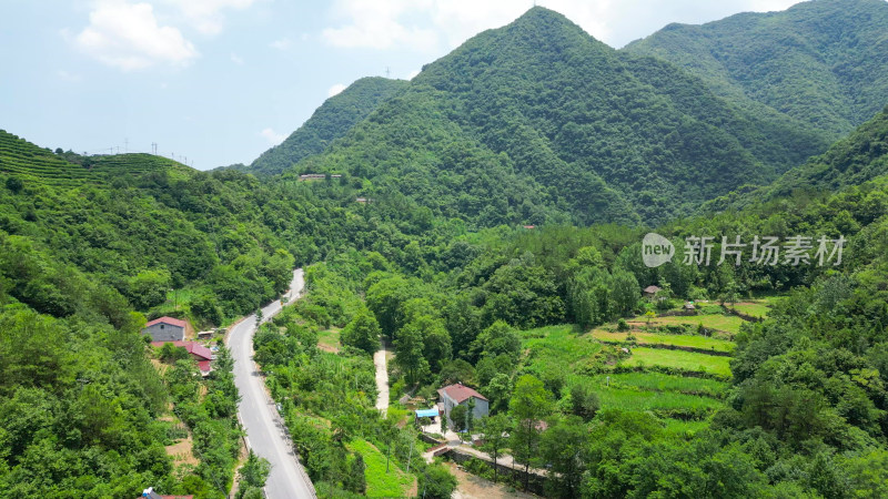 航拍丘陵大山森林风光