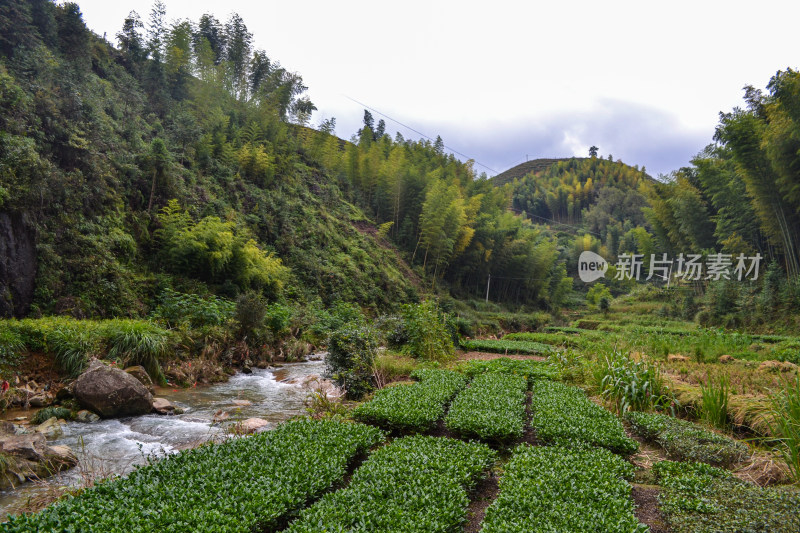 乡村俯瞰图，青山绿树环绕下的村落景象