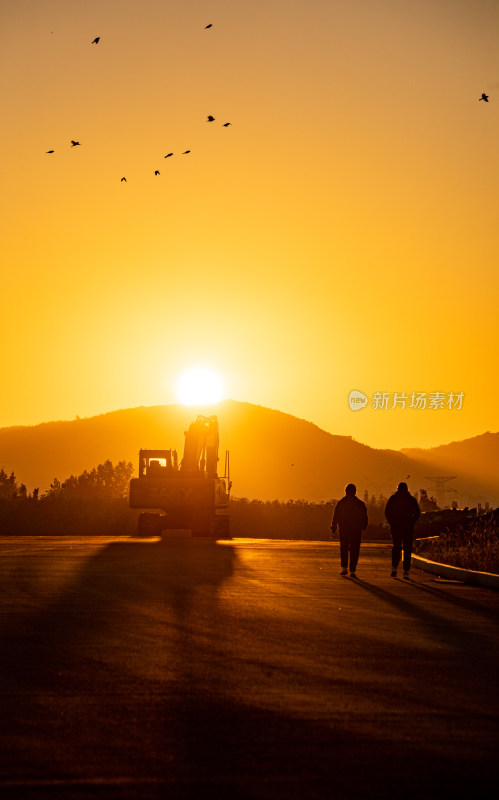 夕阳下道路上的景观