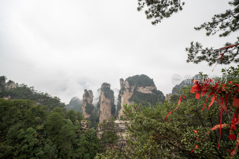 云雾缭绕的张家界奇峰异石景观