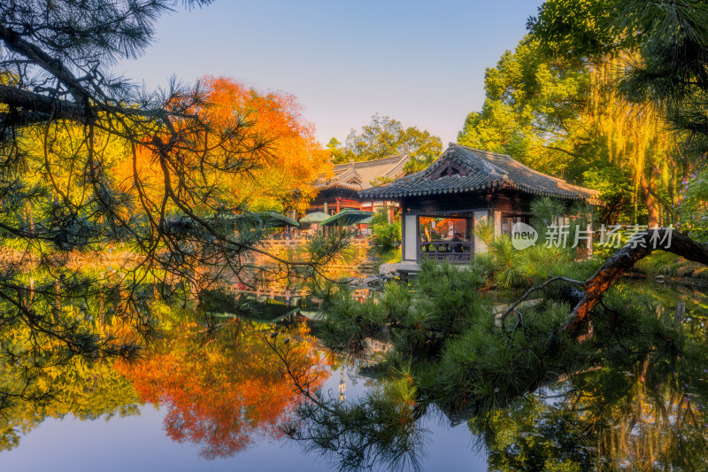 湖州莲花庄园林秋天湖泊枫叶景观