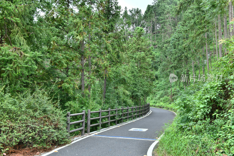 绿色步道，生态环境