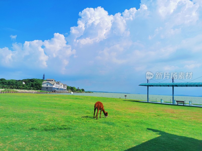 夏日蓝天白云风景