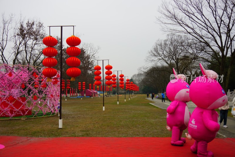 梅与梅花 南京梅花山