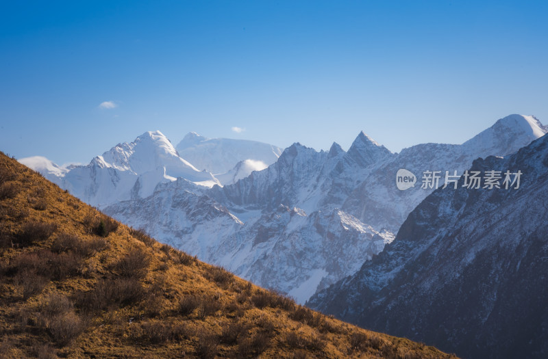 新疆夏塔雪山草原山水自然风景