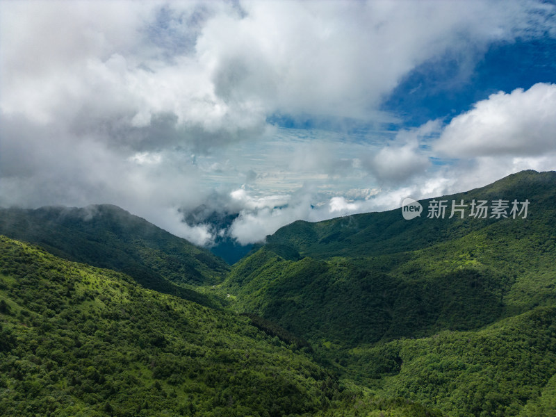 湖北神农架景区航拍风景摄影图