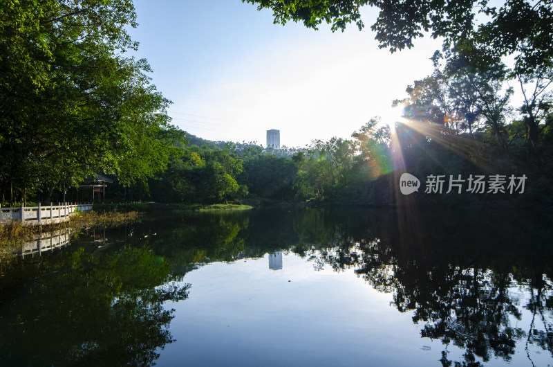 深圳笔架山公园山林水塘湖泊自然风光