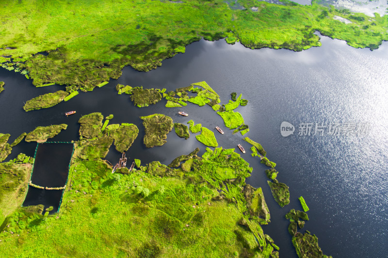 腾冲北海湿地