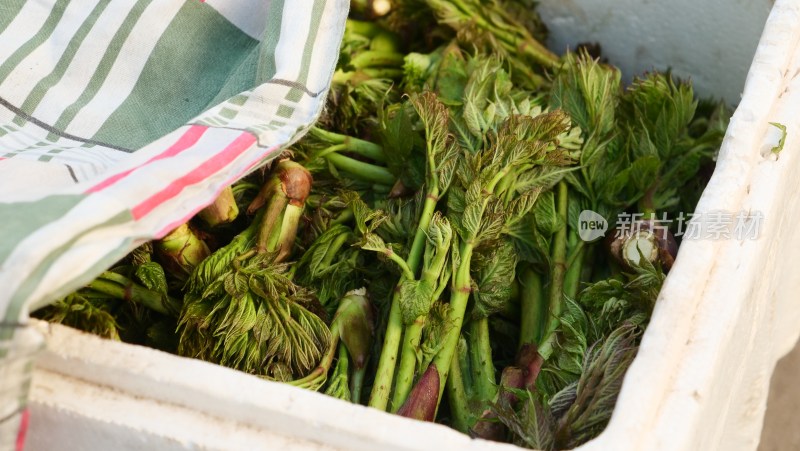 东北春天地摊上售卖的野菜