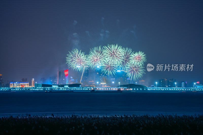 新年夜空中绽放的烟火