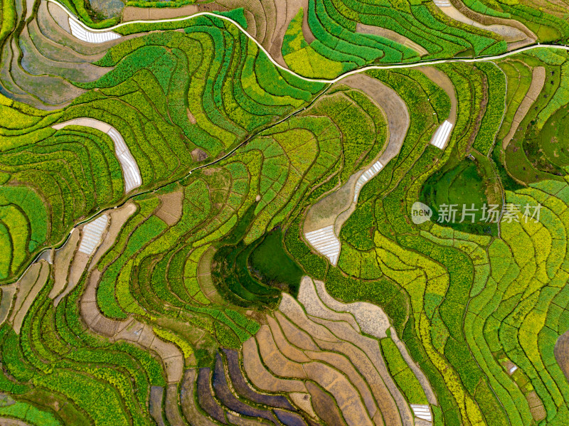 汉阴凤堰古梯田