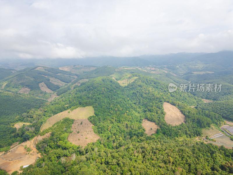 云雾笼罩下的葱郁山林鸟瞰全景