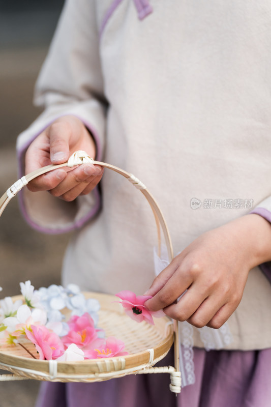 在盛开的桃花树下采花的中国女孩特写