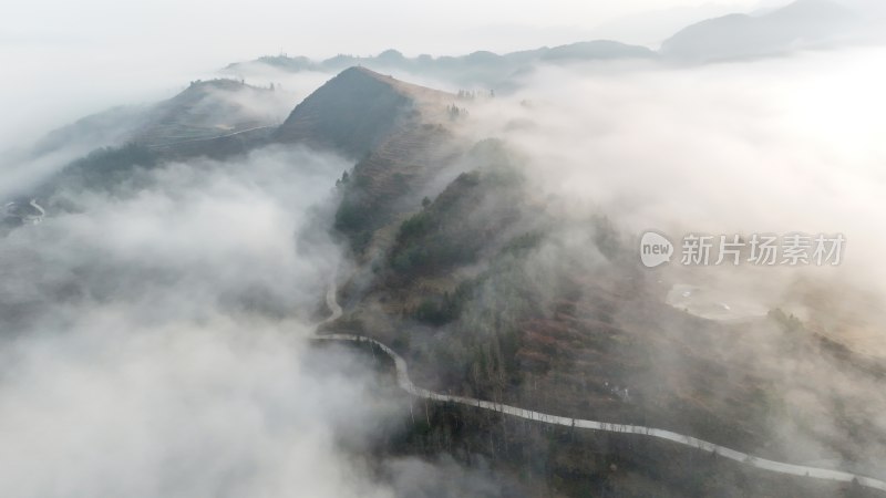 重庆酉阳：月亮村的云端仙境