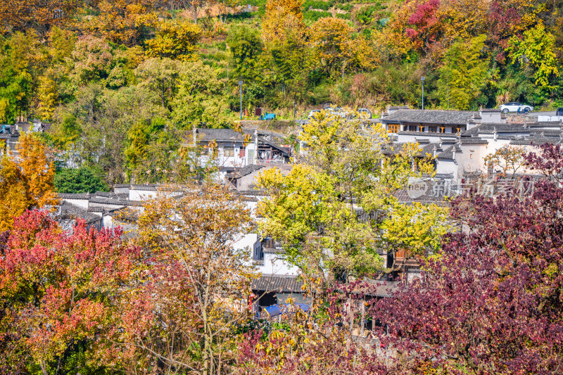 皖南秋色塔川国家森林公园