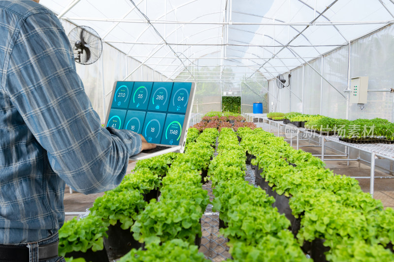 温室中男子操作笔记本监控植物