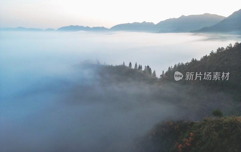 重庆酉阳：青山村庄雾