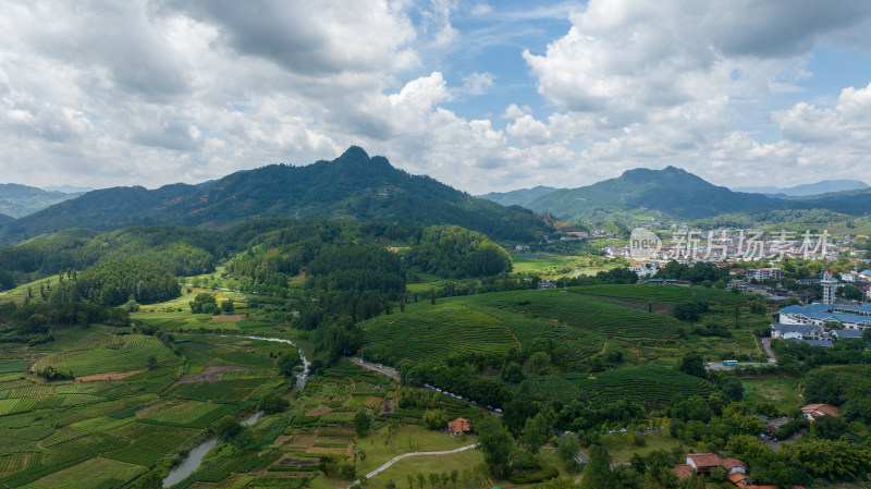 航拍武夷山绿色农田与茶园