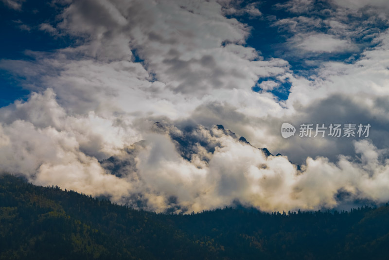 云雾中的森林山峰虎头山