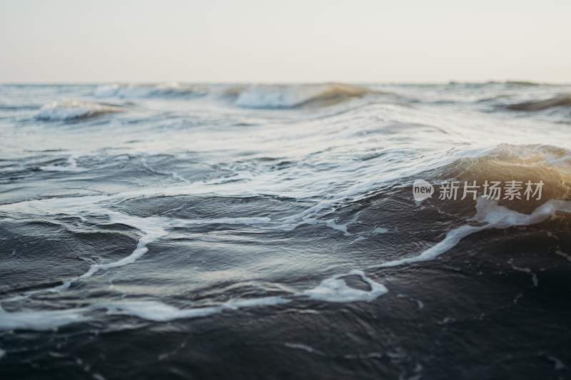 大海 海浪 美丽的大海