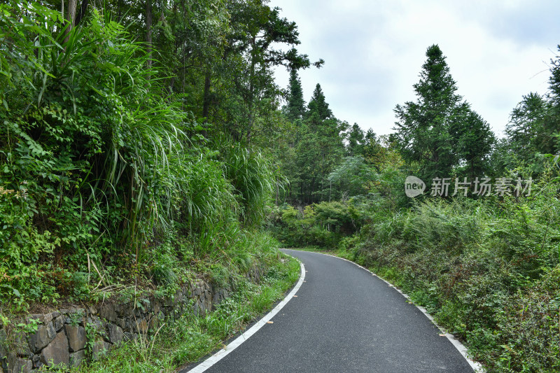 绿色步道，生态环境