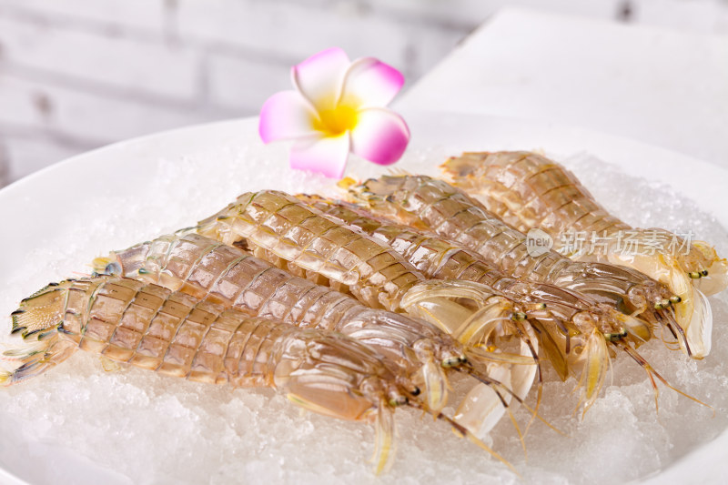 海鲜 虾 皮皮虾