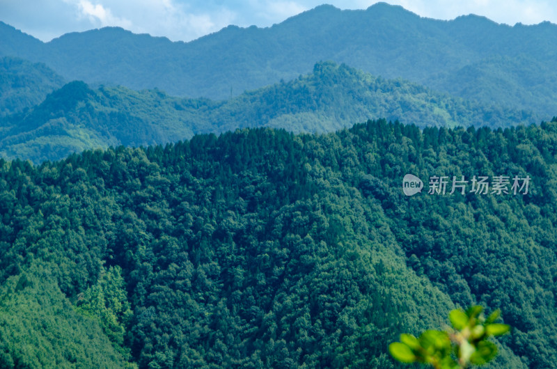 陕西秦岭连绵青山与茂密森林景观