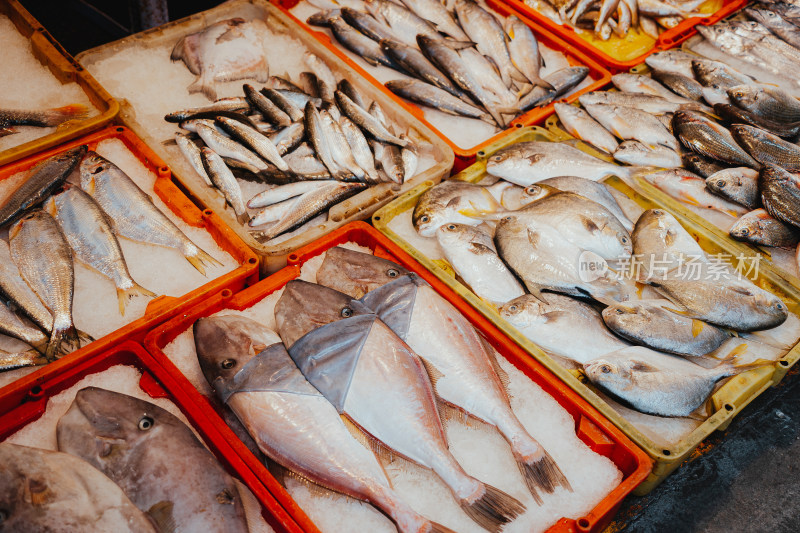 厦门第八海鲜市场