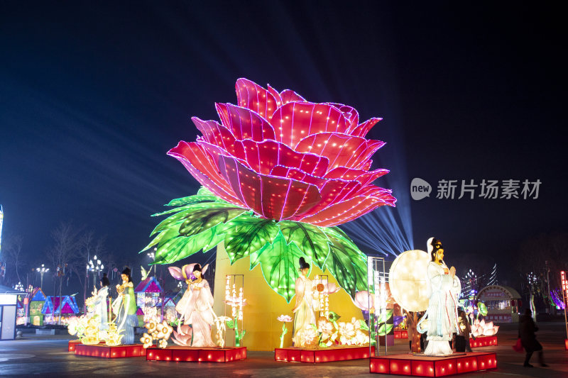 春节元宵节山海灯会牡丹花