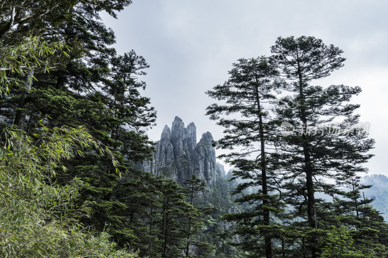 山林间的奇特岩石景观