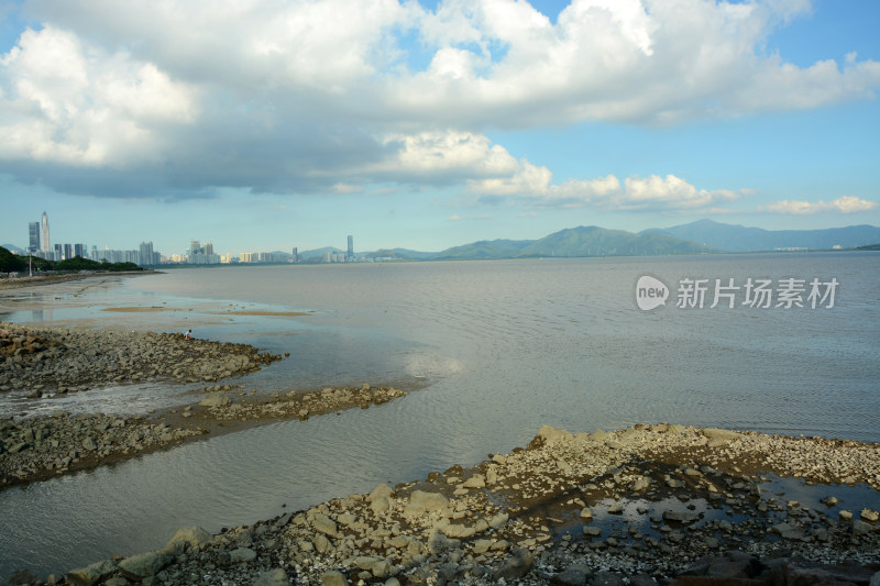 深圳红树林风景区