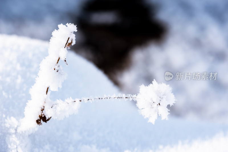 户外冬天冰雪纯净图片