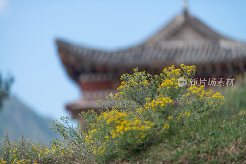 蓝天白云下的寺院