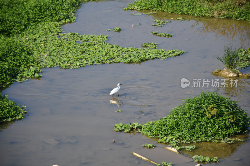 仙游瑞溪公园