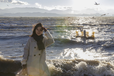 美女在大理洱海龙龛码头喂海鸥日出唯美