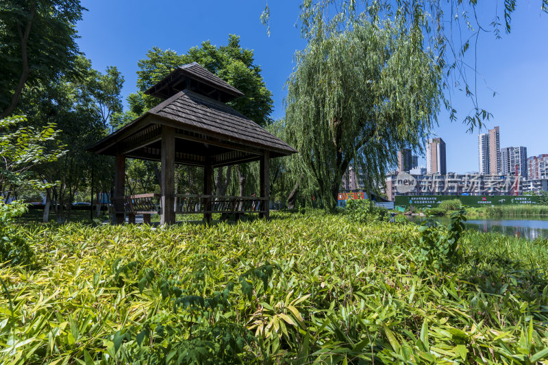 武汉武昌区内沙湖公园风景