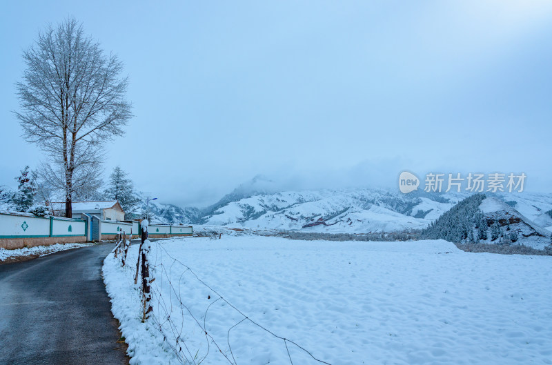 青海海北藏族自治州祁连卓尔山乡村公路雪景