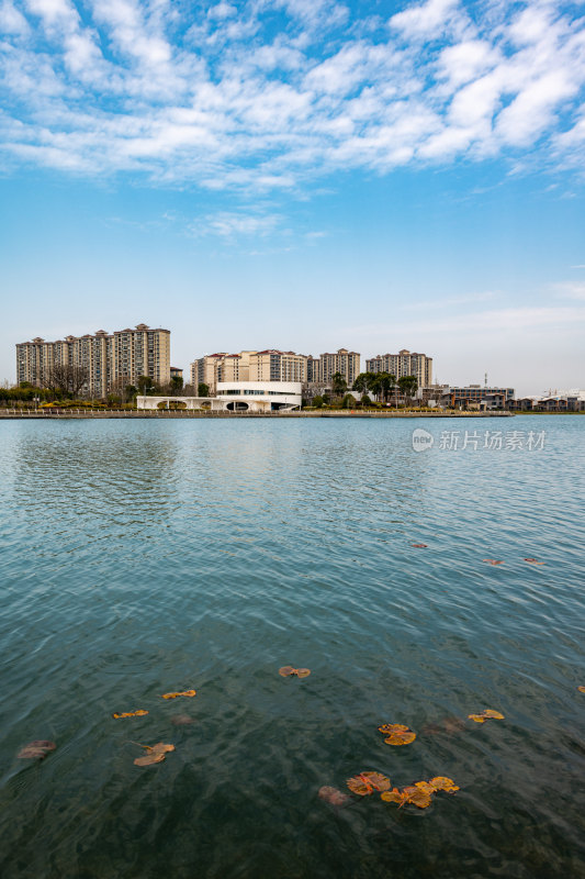 上海奉贤金海湖景观